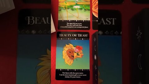 Meet The Artists Of The Secret Art Of Love Oracle Deck ♥️ #tarot #Oracle #zodiac #horoscope