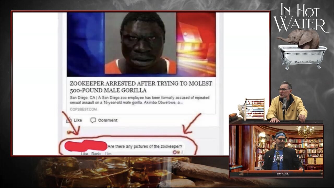 Gorilla Sexually Assaulted
