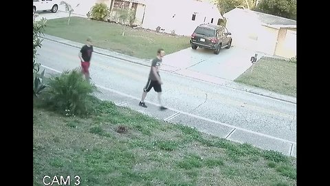 Surveillance Video: unknown suspects beat, rob teen walking home from Gulf High School in Pasco County