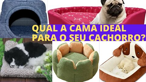 Como escolher a cama para o seu cachorro