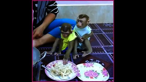 Mothers make fried mushrooms with noodles for their children