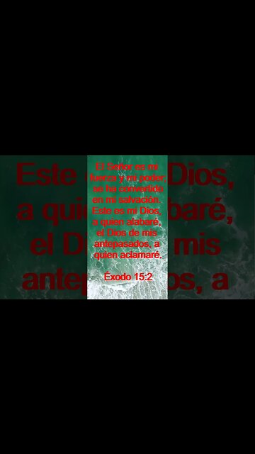 Verso Del Día | Lectura Inspiradora Para Empezar El Día. | 94