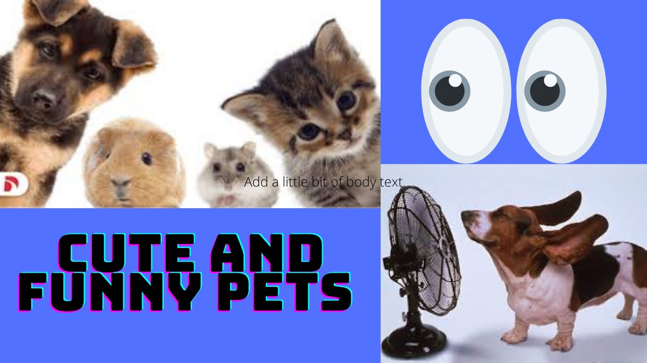 💗Cute And Funny Pets | Try Not To Laugh To These Pets Compilation/💗 Cutest Lands