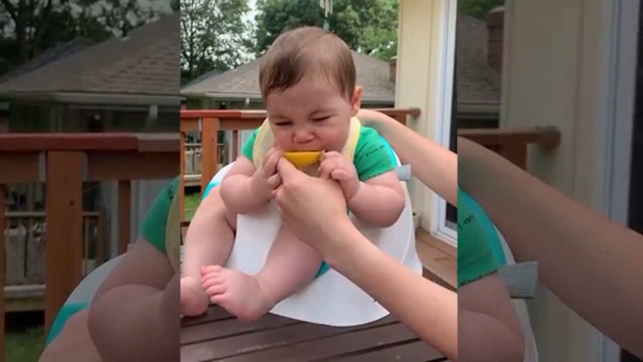 Funny Emotion When Babies First Eat Lemon | Fun and Fails