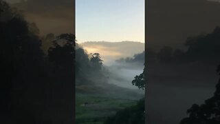 Picturesque Misty morning