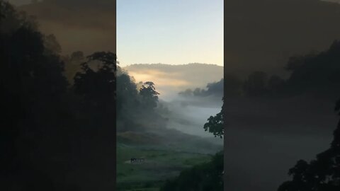 Picturesque Misty morning