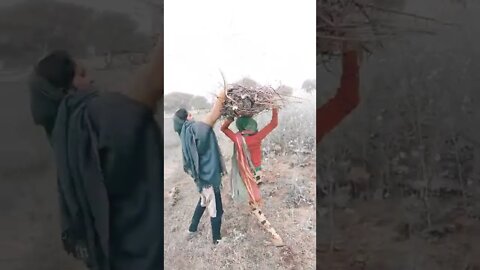 gaon ka londa sen 😍😍😍#virl