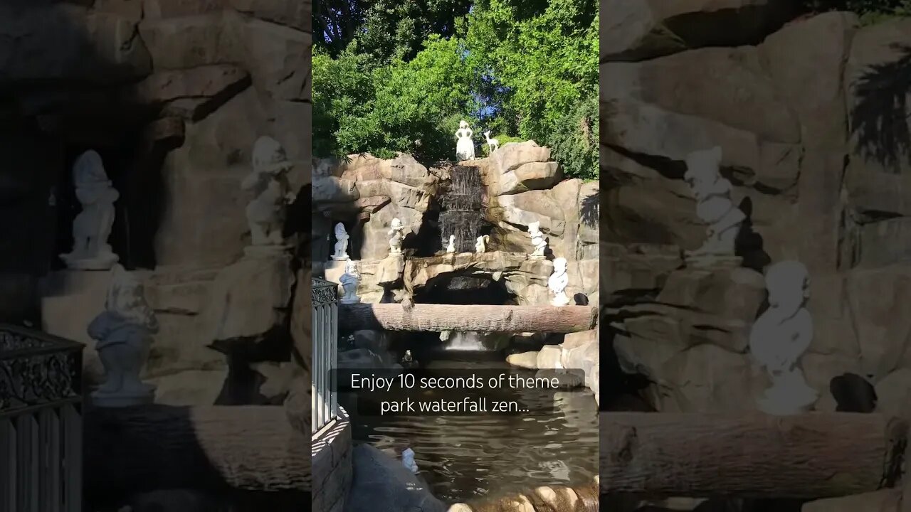 This moment of theme park zen brought to you by Snow White’s Grotto #disneyland #snowwhite #zen