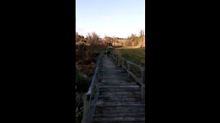 Hike on Natchez Trace, part 1