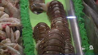 Coronavirus outbreak could lead to lower lobster prices in Florida