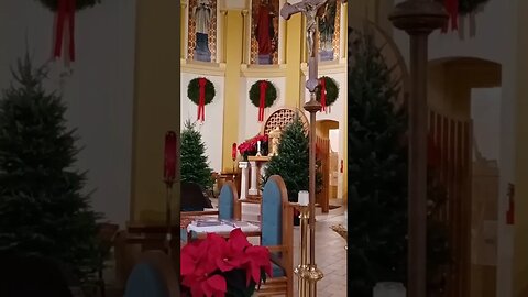 You are Being Prayed for this Advent - Be An Angelus Warrior like Mary