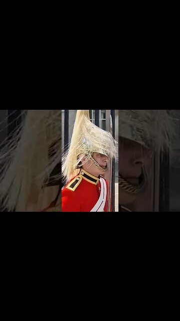 Static hair and sword #horseguardsparade