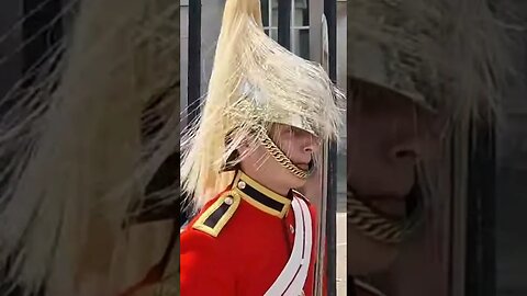 Static hair and sword #horseguardsparade