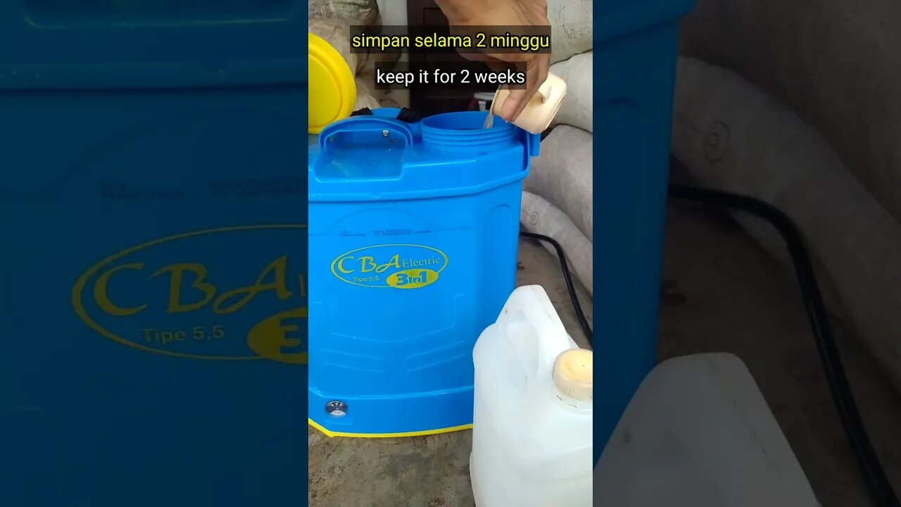 cara membuat sendiri pestisida untuk semua jenis hama di musim hujan