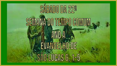 Evangelho do Sábado da 22ª Semana do Tempo Comum Lc 6, 1-5