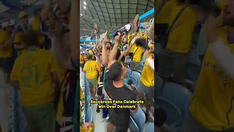 Socceroos Through To The Round Of 16 @aiimsgroup #worldcup2022