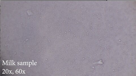 2022-07-29 Milk sample