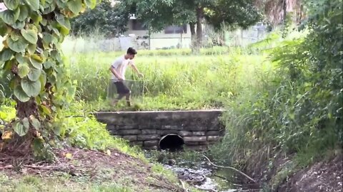 Catch rare ornamental fish in flooded ditches * 3