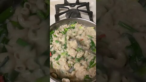 Added Scallions To The Daiya Mac and Cheeze (Plant Based)