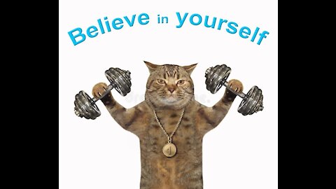 Cat athlete