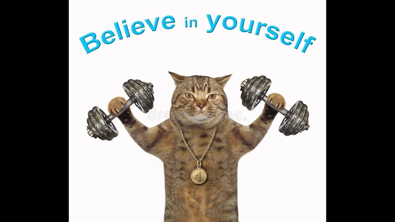 Cat athlete