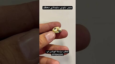 حجر داودي سليماني
