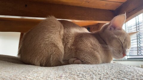 back to sleep 😴😪