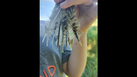 Running Sage 7/30/22