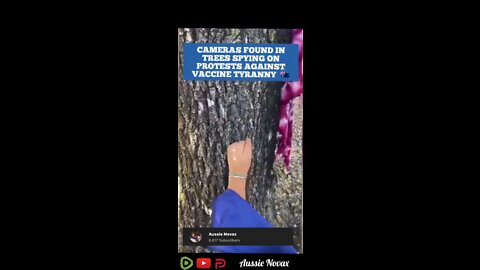 Exposed: Australia’s Democide against peaceful Anti-mandate Protester’s