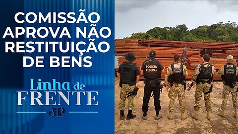Queda de desmatamento na Amazônia depende de combate ao crime na região? | LINHA DE FRENTE