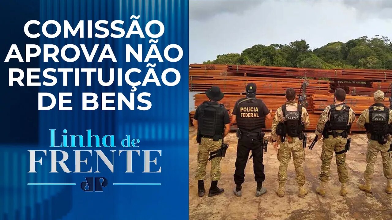 Queda de desmatamento na Amazônia depende de combate ao crime na região? | LINHA DE FRENTE