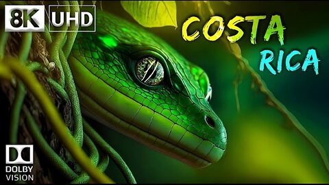 COSTA RICA 8K Video Ultra HD 60FPS Dolby Vision | Costa Rica 8K HDR | 8K TV