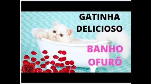 Ofurô bath cat!!! That's all!!