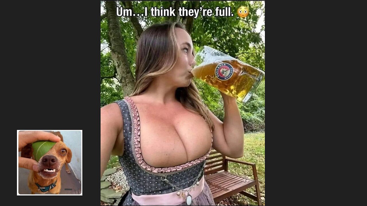 Memes That Will 99.81% Make You Laugh. (e35)