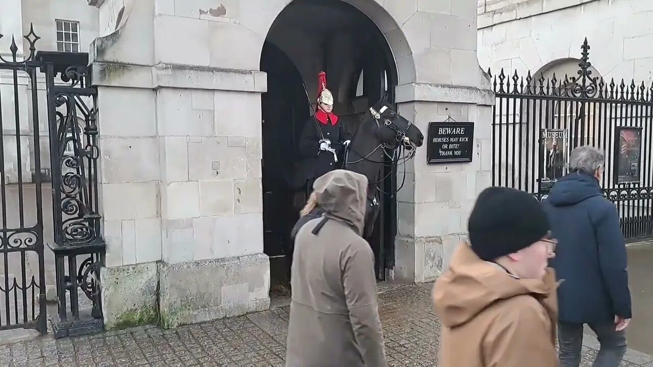 The kings guard horse does not want to leave the box scared of protest #thekingsguard