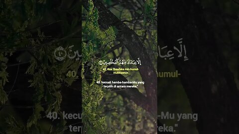 Surah Al-Hijr Ayat 40-41 . #alquran #quran #murottal