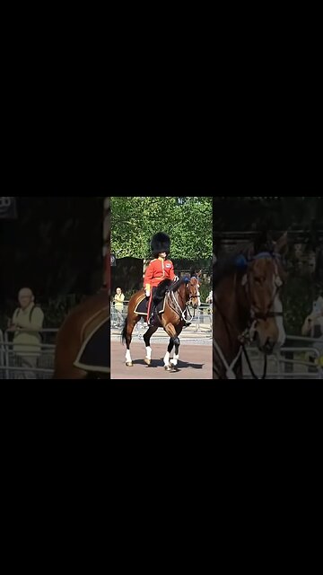 Hi ranking kings guards on horse back the mall #horseguardsparade