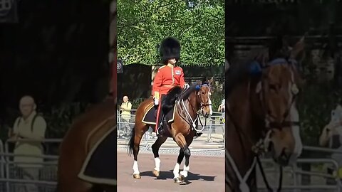 Hi ranking kings guards on horse back the mall #horseguardsparade