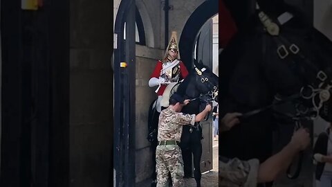 Horse spooked in the box #horseguardsparade