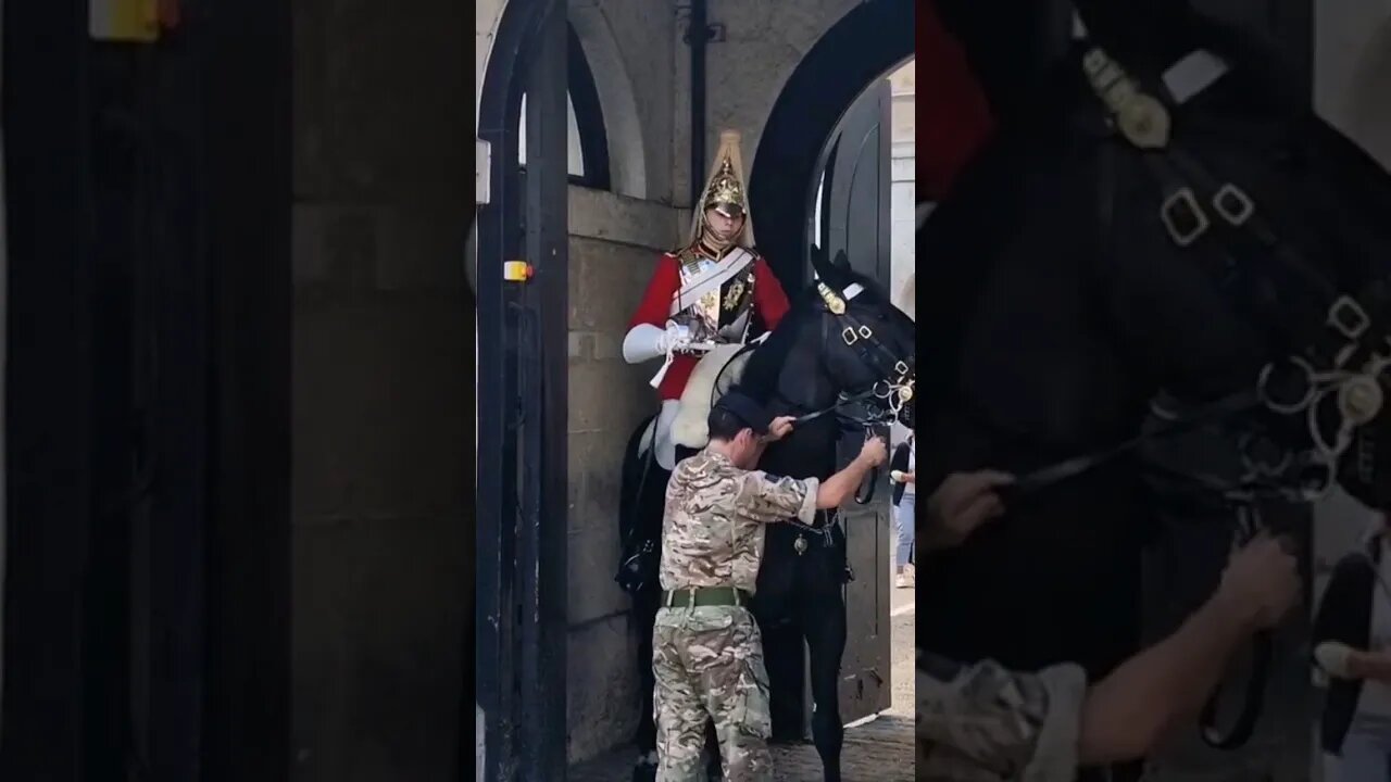 Horse spooked in the box #horseguardsparade