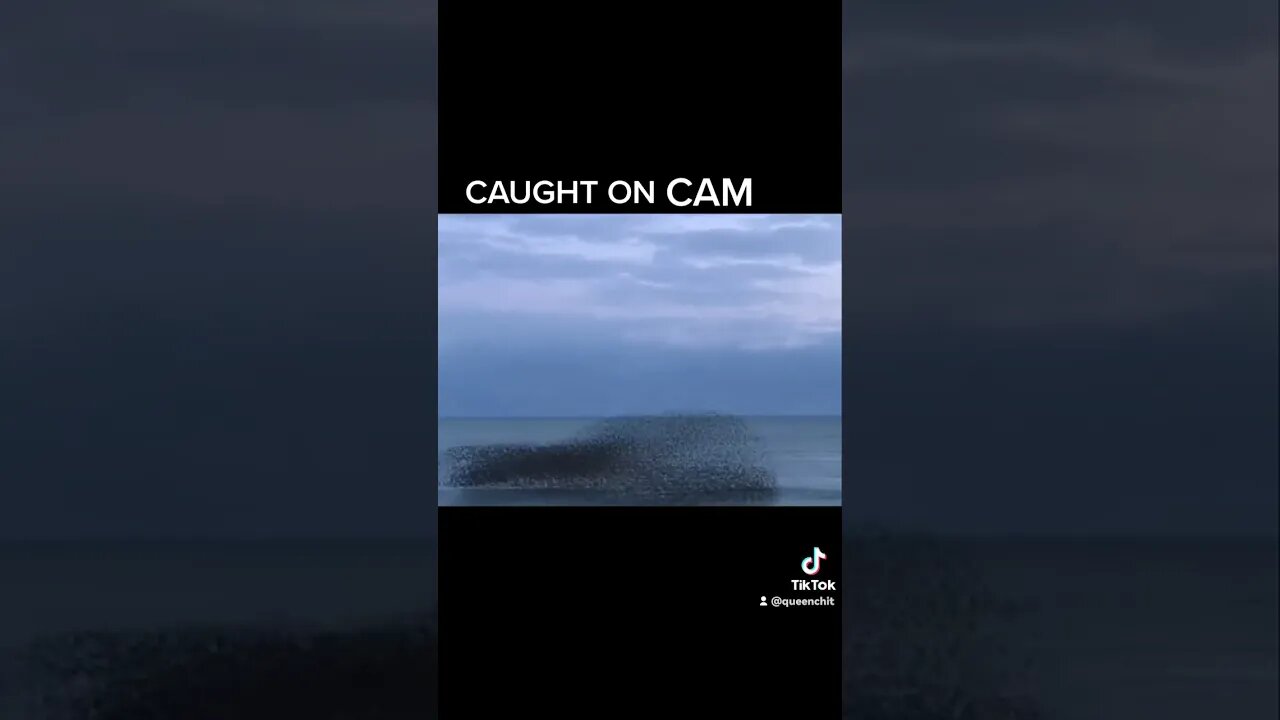 Caught on cam
