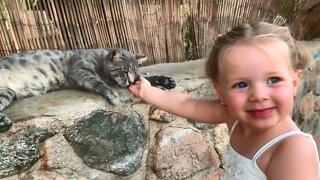 Sofia is playing with very cute and sweet cats