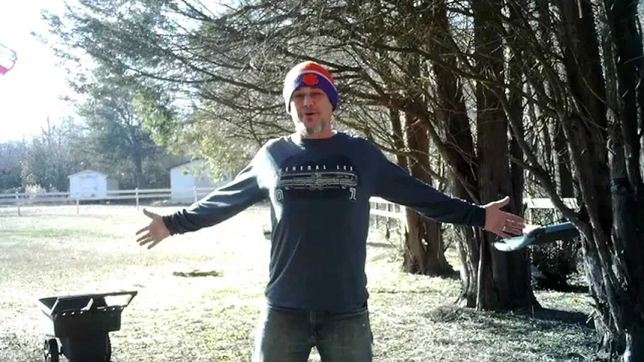 What is plaguing America