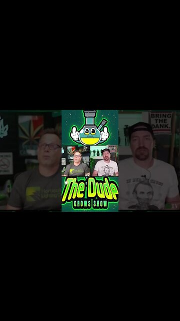 Learn to Grow Cannabis like a Gangsta ➡️🔥 Subscribe Now to Learn to Grow Bud