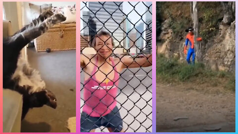 Best Funny Videos | Best Funny Fails | 2022 🤣