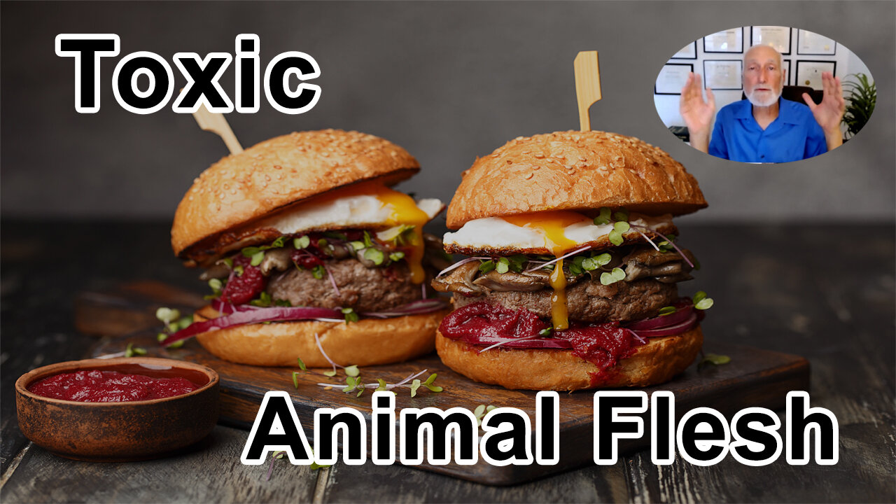 Toxic Molecules Accumulate In Animals Flesh So Every Burger You Bite Is Filled With These Contaminan