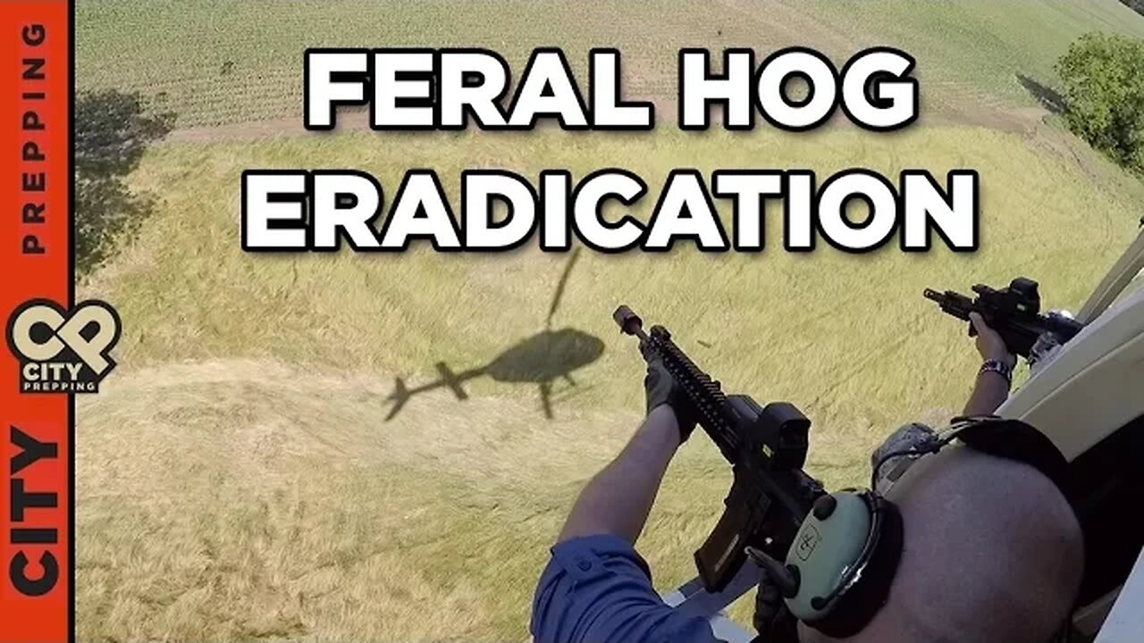 Helicopter Hog Hunting