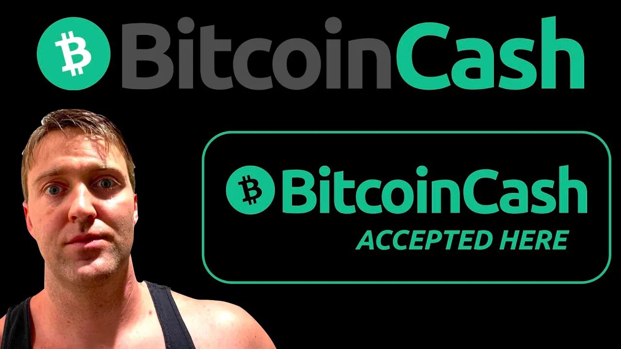 Bitcoin Cash is Dominating Crypto