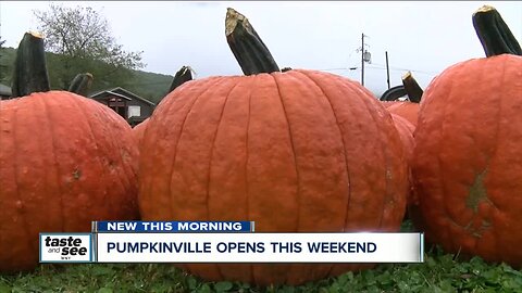 Ready for fall? Here's how you'll be able to find 30 acres of pumpkins at Pumpkinville