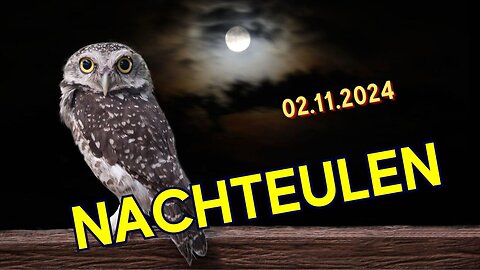 Nachteulen - 02.11.2024